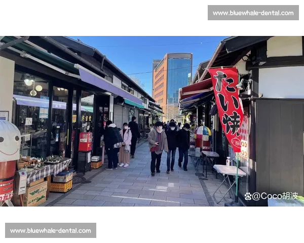 大阪与广岛城市魅力全面对决从美食文化到生活节奏谁更让人向往